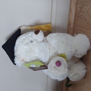 Graduation White Teddy Holding Flower And Wearing Cap Animal Adventures NWT